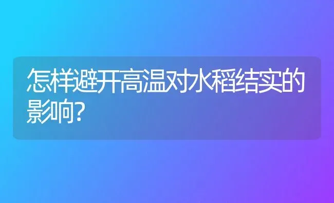 怎样避开高温对水稻结实的影响？ | 粮油作物种植