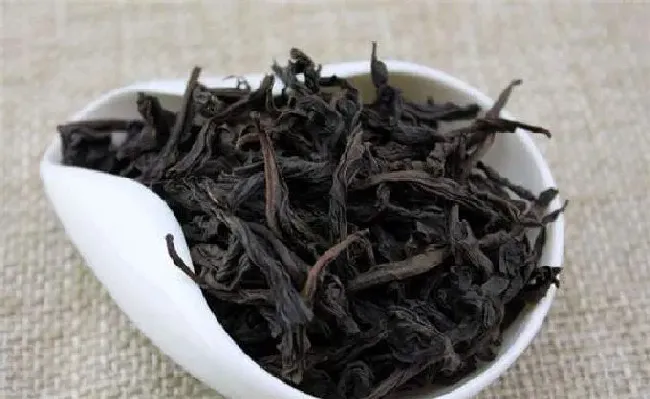 食用常识|武夷水仙茶属于什么茶