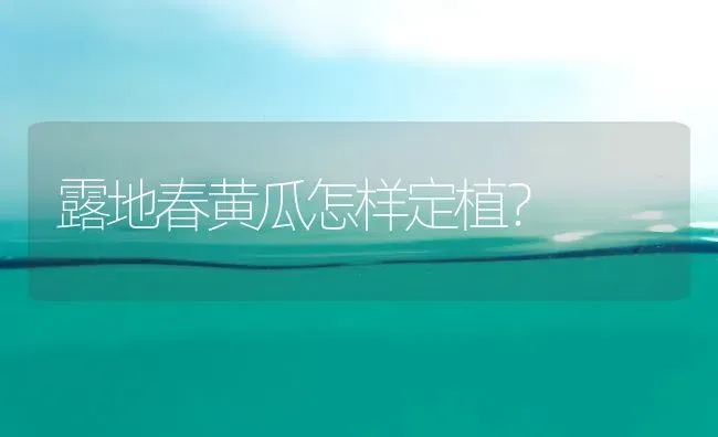 露地春黄瓜怎样定植？ | 蔬菜种植