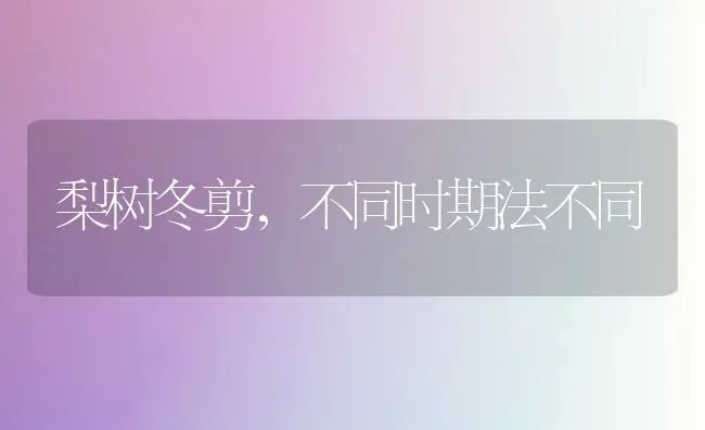 梨树冬剪，不同时期法不同 | 瓜果种植