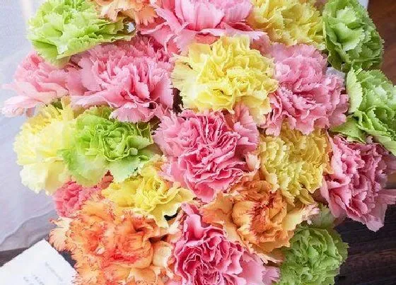 送花|结婚一周年送什么花给老婆 适合结婚一周年纪念日的花束