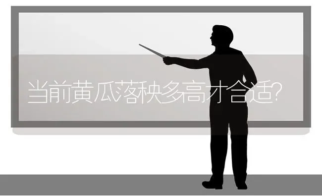 当前黄瓜落秧多高才合适？ | 蔬菜种植