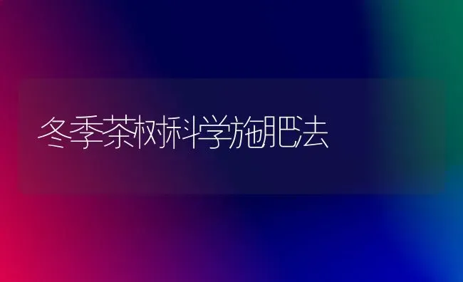 冬季茶树科学施肥法 | 种植肥料施肥