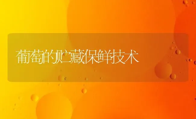 葡萄的贮藏保鲜技术 | 瓜果种植