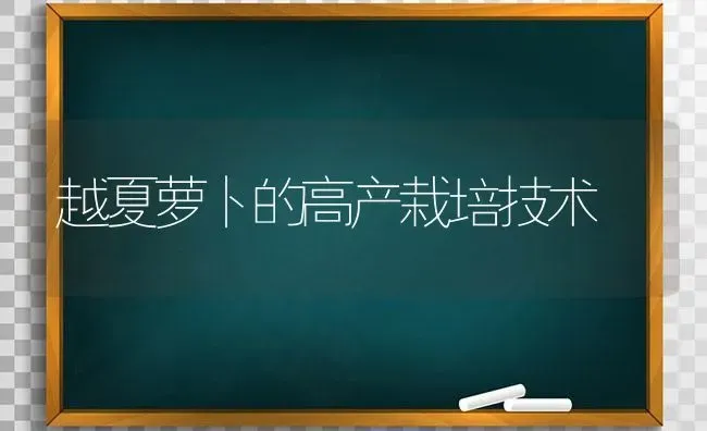 越夏萝卜的高产栽培技术 | 蔬菜种植