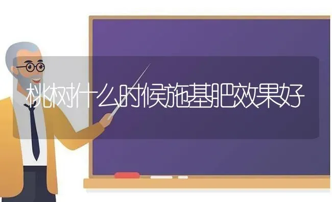 桃树什么时候施基肥效果好 | 瓜果种植