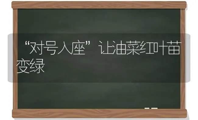 “对号入座”让油菜红叶苗变绿 | 粮油作物种植