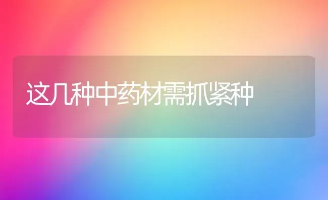 这几种中药材需抓紧种 | 药材种植