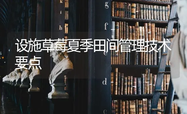 设施草莓夏季田间管理技术要点 | 瓜果种植