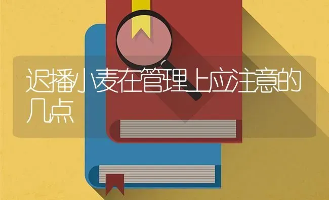 迟播小麦在管理上应注意的几点 | 粮油作物种植