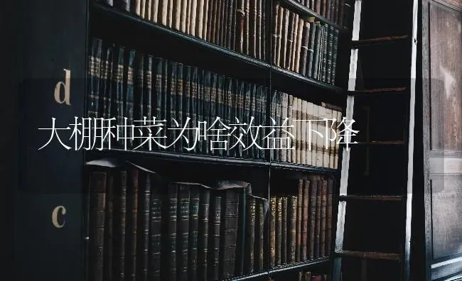 大棚种菜为啥效益下降 | 蔬菜种植