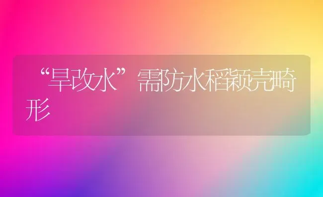 “旱改水”需防水稻颖壳畸形 | 粮油作物种植