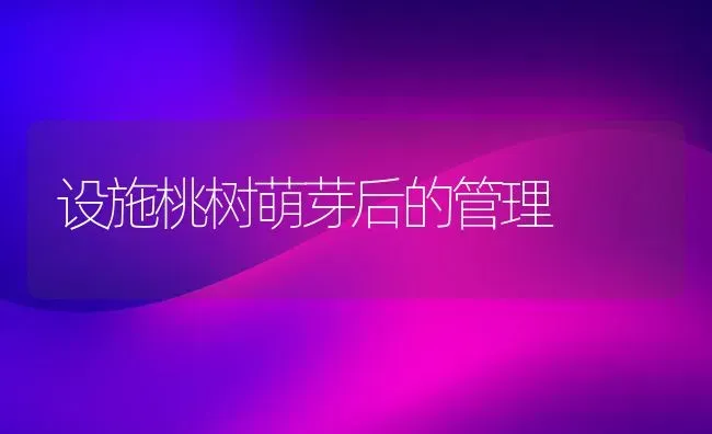 设施桃树萌芽后的管理 | 瓜果种植