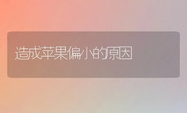 造成苹果偏小的原因 | 瓜果种植