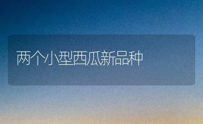 两个小型西瓜新品种 | 瓜果种植