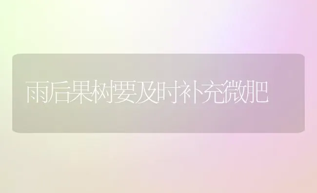 雨后果树要及时补充微肥 | 瓜果种植