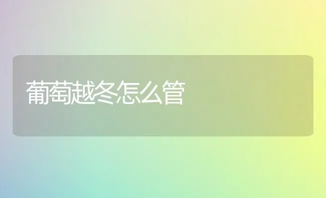 葡萄越冬怎么管 | 瓜果种植