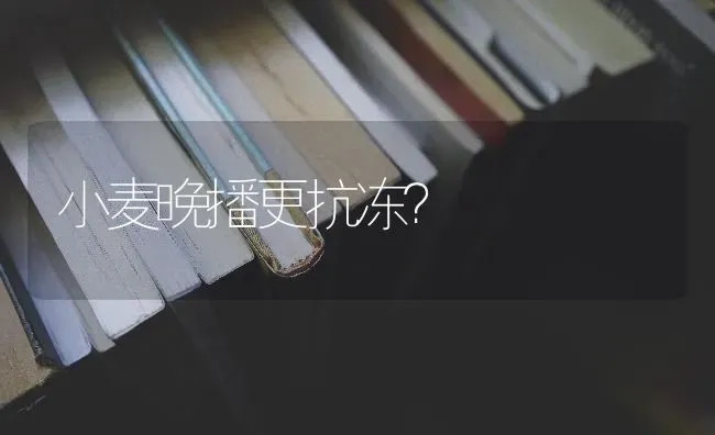 小麦晚播更抗冻？ | 粮油作物种植