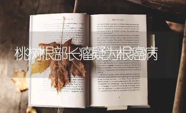桃树根部长瘤疑为根癌病 | 瓜果种植
