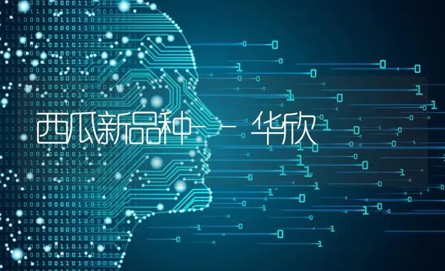 西瓜新品种--华欣 | 瓜果种植