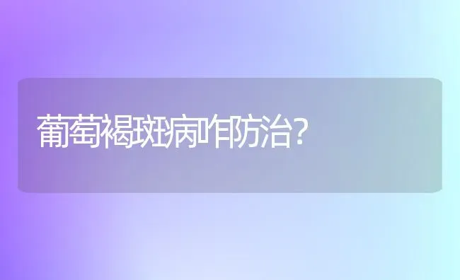 葡萄褐斑病咋防治? | 瓜果种植