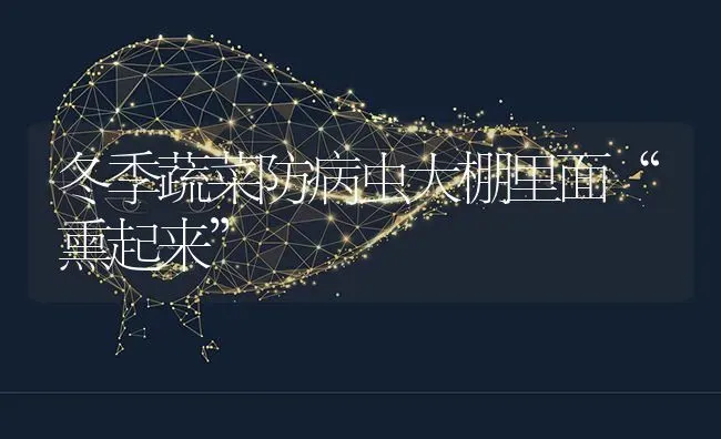冬季蔬菜防病虫大棚里面“熏起来” | 蔬菜种植