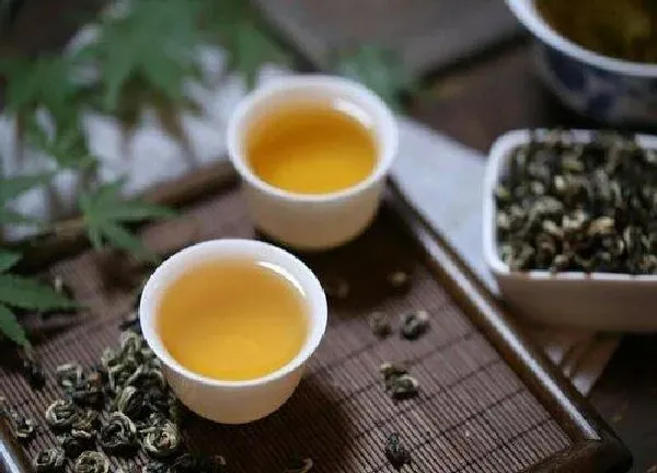 植物浇水|发酵茶水可以浇菜吗