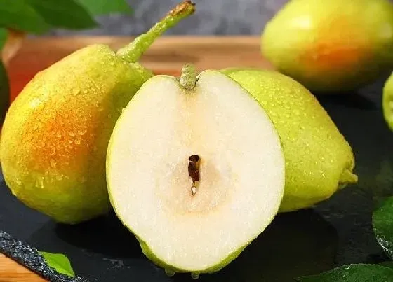 食用技巧|梨子怎么挑选好吃的