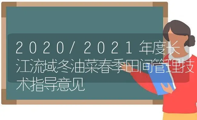 2020/2021年度长江流域冬油菜春季田间管理技术指导意见 | 粮油作物种植