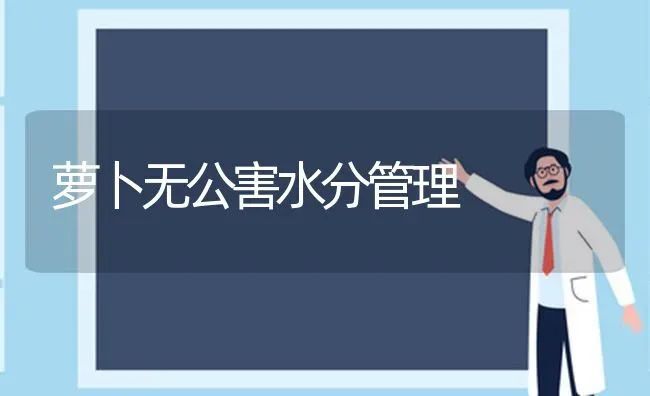 萝卜无公害水分管理 | 蔬菜种植