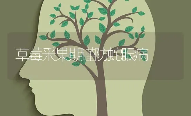 草莓采果期谨防蛇眼病 | 瓜果种植