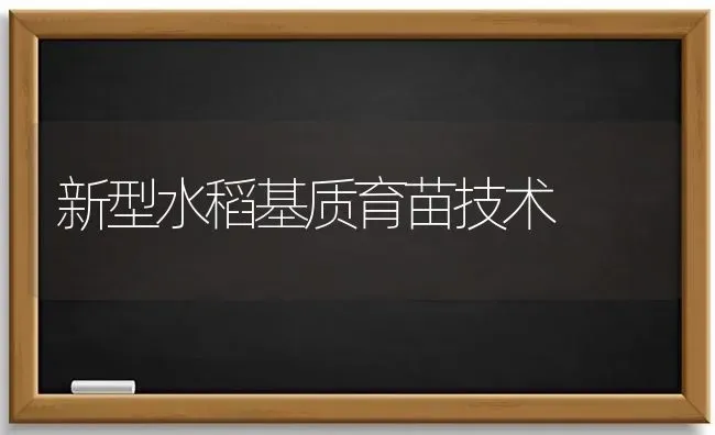 新型水稻基质育苗技术 | 粮油作物种植