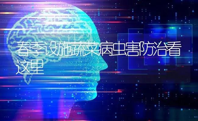 春季设施蔬菜病虫害防治看这里 | 蔬菜种植