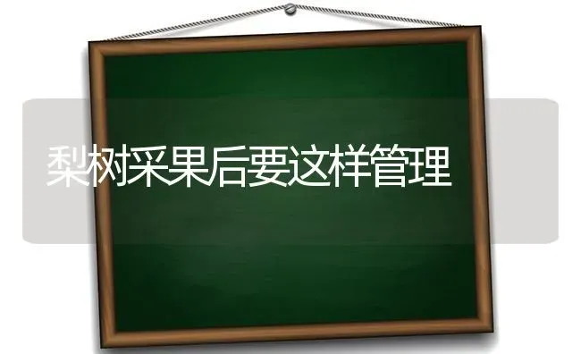 梨树采果后要这样管理 | 瓜果种植