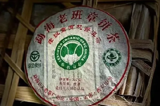 食用常识|老班章属于什么茶