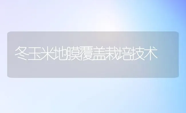 冬玉米地膜覆盖栽培技术 | 粮油作物种植