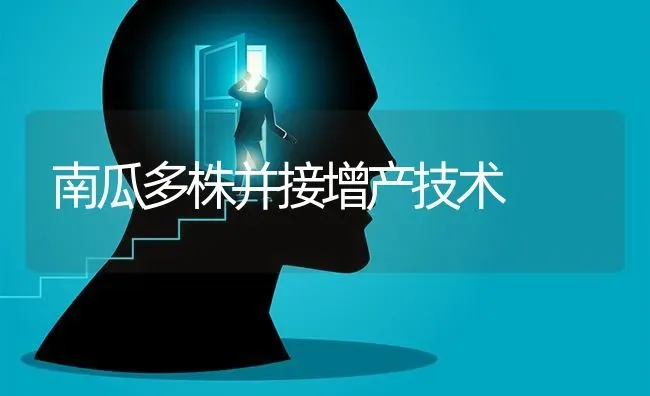 南瓜多株并接增产技术 | 蔬菜种植