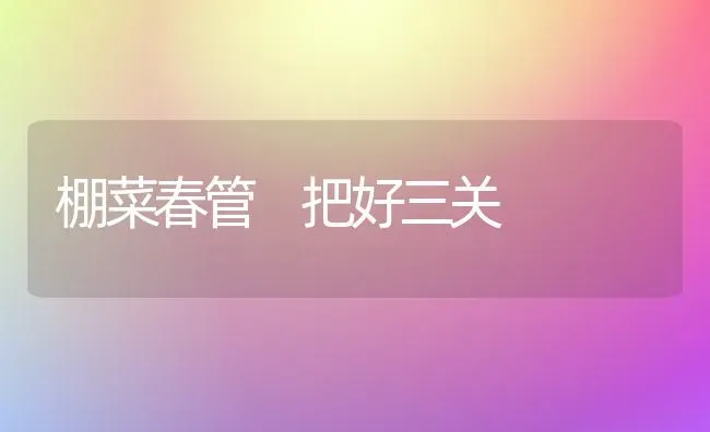 棚菜春管 把好三关 | 蔬菜种植