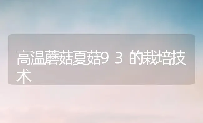 高温蘑菇夏菇93的栽培技术 | 食用菌种植