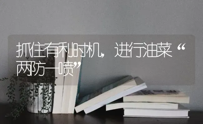 抓住有利时机，进行油菜“两防一喷” | 粮油作物种植