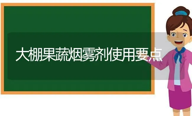 大棚果蔬烟雾剂使用要点 | 瓜果种植