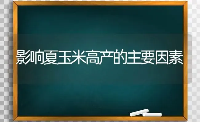 影响夏玉米高产的主要因素 | 粮油作物种植