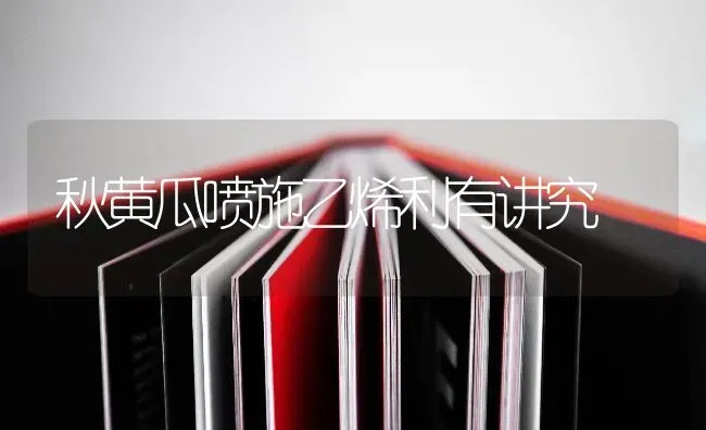 秋黄瓜喷施乙烯利有讲究 | 蔬菜种植