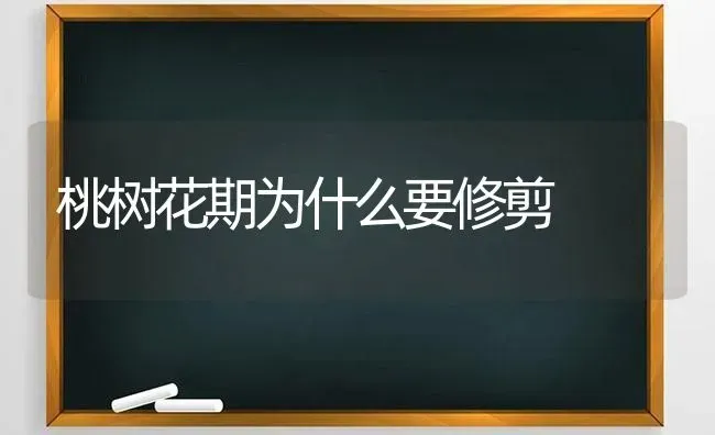 桃树花期为什么要修剪 | 瓜果种植