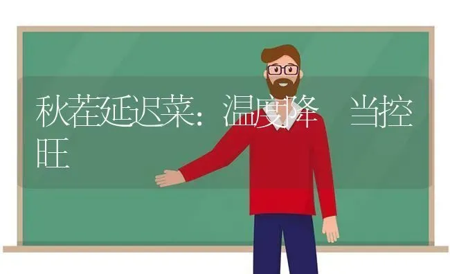秋茬延迟菜：温度降 当控旺 | 蔬菜种植
