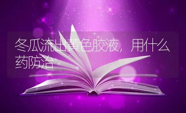 冬瓜流出黄色胶液，用什么药防治 | 蔬菜种植