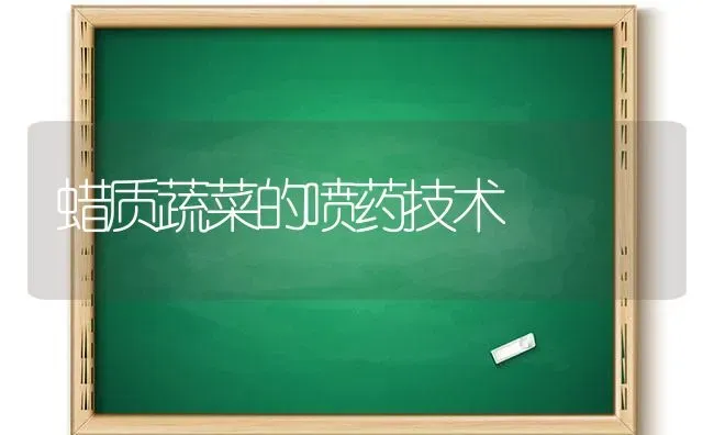 蜡质蔬菜的喷药技术 | 蔬菜种植
