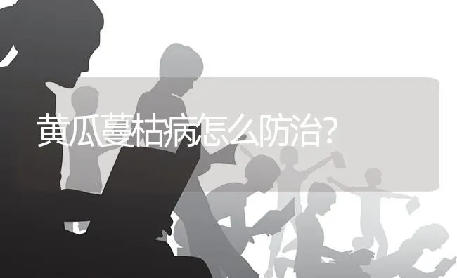 黄瓜蔓枯病怎么防治？ | 蔬菜种植