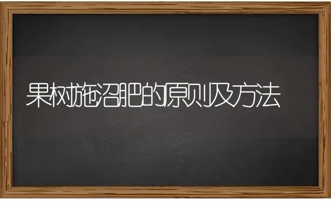 果树施沼肥的原则及方法 | 瓜果种植