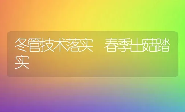 冬管技术落实 春季出菇踏实 | 食用菌种植
